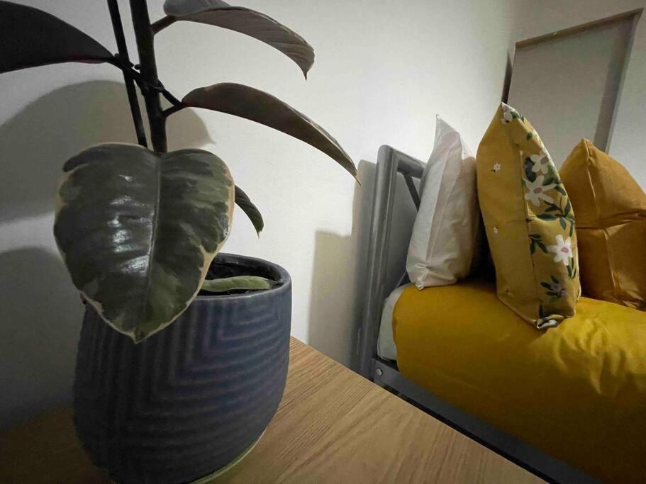 Victoria Mews Hoxton Shoreditch Londyn Zewnętrze zdjęcie